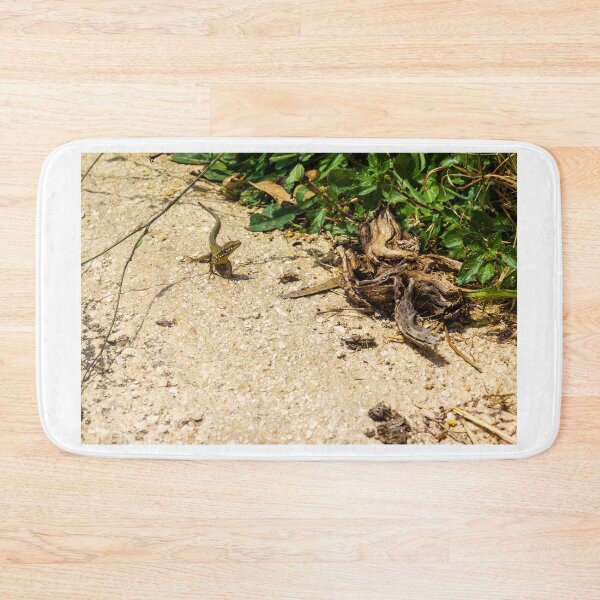 Item preview, Small Green Lizard Sunbathing on Sandy Path Beside Dry Roots and Green Weeds designed and sold by Nmallia.