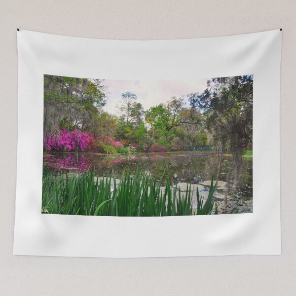 Item preview, Magnolia Plantation Garden Pond Charleston SC 2 designed and sold by LisaWootenPhoto.