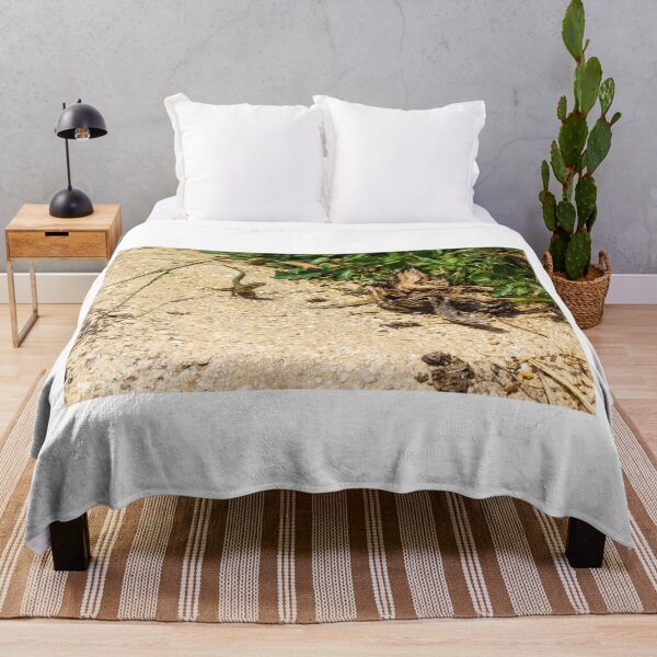 Item preview, Small Green Lizard Sunbathing on Sandy Path Beside Dry Roots and Green Weeds designed and sold by Nmallia.