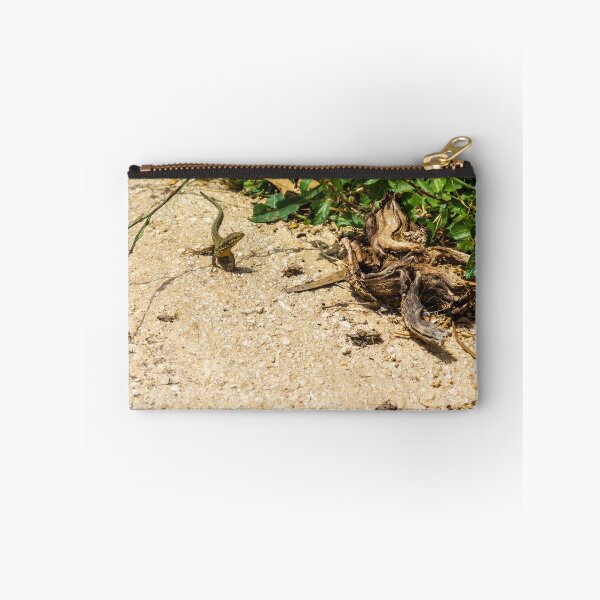 Item preview, Small Green Lizard Sunbathing on Sandy Path Beside Dry Roots and Green Weeds designed and sold by Nmallia.
