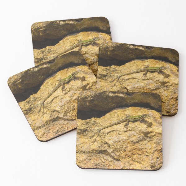 Item preview, Green Lizard Basking on Sunlit Rocks, Closeup Reptile on Rocky Wall in Natural Habitat designed and sold by Nmallia.