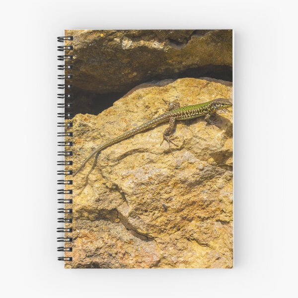 Item preview, Green Lizard Basking on Sunlit Rocks, Closeup Reptile on Rocky Wall in Natural Habitat designed and sold by Nmallia.