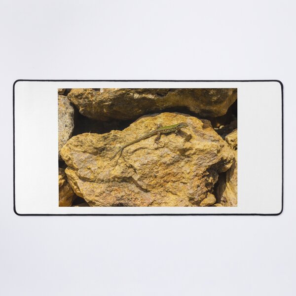 Item preview, Green Lizard Basking on Sunlit Rocks, Closeup Reptile on Rocky Wall in Natural Habitat designed and sold by Nmallia.