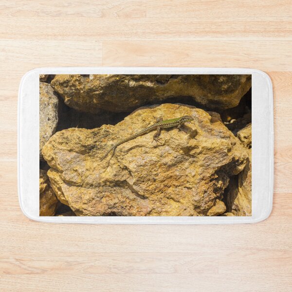 Item preview, Green Lizard Basking on Sunlit Rocks, Closeup Reptile on Rocky Wall in Natural Habitat designed and sold by Nmallia.