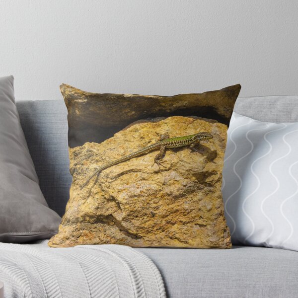 Item preview, Green Lizard Basking on Sunlit Rocks, Closeup Reptile on Rocky Wall in Natural Habitat designed and sold by Nmallia.