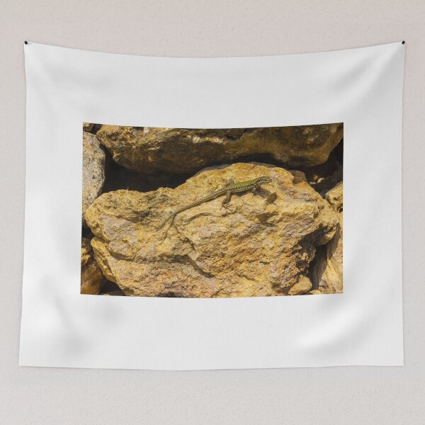 Item preview, Green Lizard Basking on Sunlit Rocks, Closeup Reptile on Rocky Wall in Natural Habitat designed and sold by Nmallia.