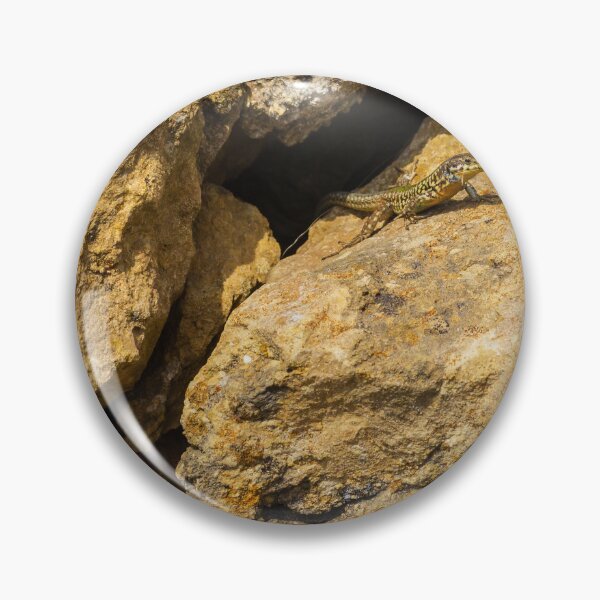 Item preview, Green Lizard Basking on Sunlit Rocks, Closeup Reptile on Rocky Wall in Natural Habitat designed and sold by Nmallia.