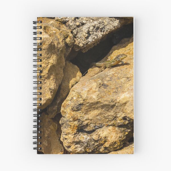 Item preview, Green Lizard Basking on Sunlit Rocks, Closeup Reptile on Rocky Wall in Natural Habitat designed and sold by Nmallia.