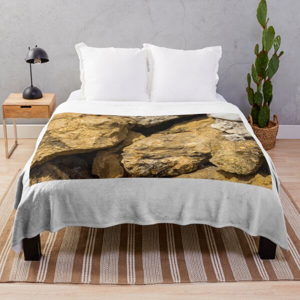 Item preview, Green Lizard Basking on Sunlit Rocks, Closeup Reptile on Rocky Wall in Natural Habitat designed and sold by Nmallia.