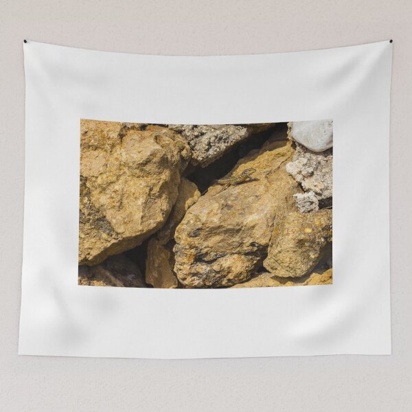 Item preview, Green Lizard Basking on Sunlit Rocks, Closeup Reptile on Rocky Wall in Natural Habitat designed and sold by Nmallia.