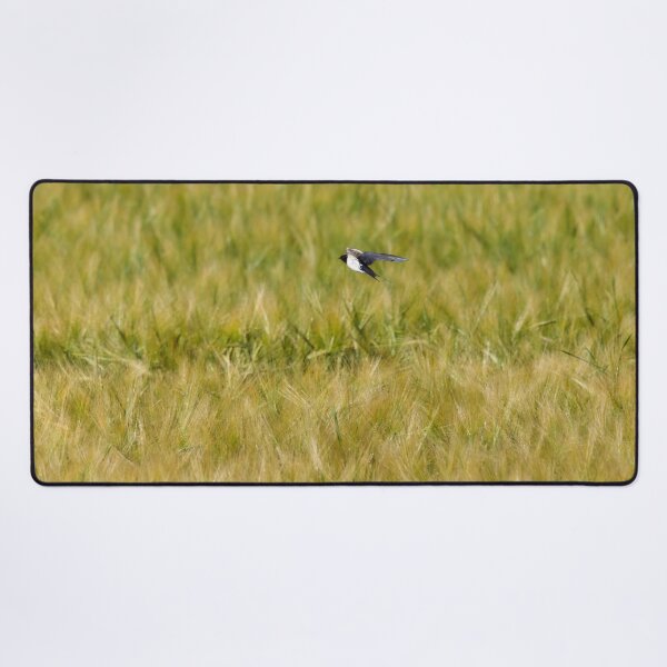 Item preview, Over the fields . Barn swallow designed and sold by Jouko Lehto Photography.