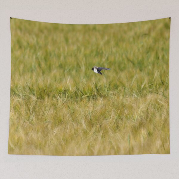 Item preview, Over the fields . Barn swallow designed and sold by Jouko Lehto Photography.