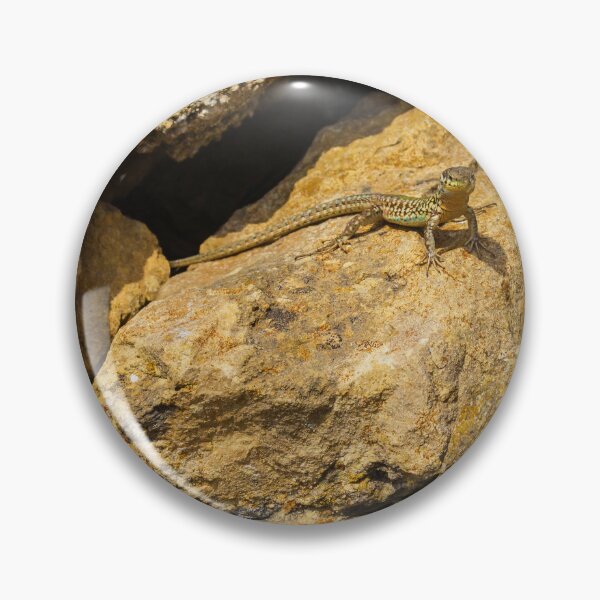 Item preview,  Green Lizard Basking on Sunlit Rocks, Closeup Reptile on Rocky Wall in Natural Habitat designed and sold by Nmallia.
