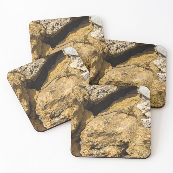 Item preview,  Green Lizard Basking on Sunlit Rocks, Closeup Reptile on Rocky Wall in Natural Habitat designed and sold by Nmallia.