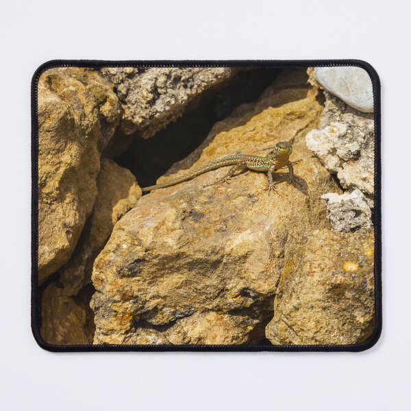 Item preview,  Green Lizard Basking on Sunlit Rocks, Closeup Reptile on Rocky Wall in Natural Habitat designed and sold by Nmallia.