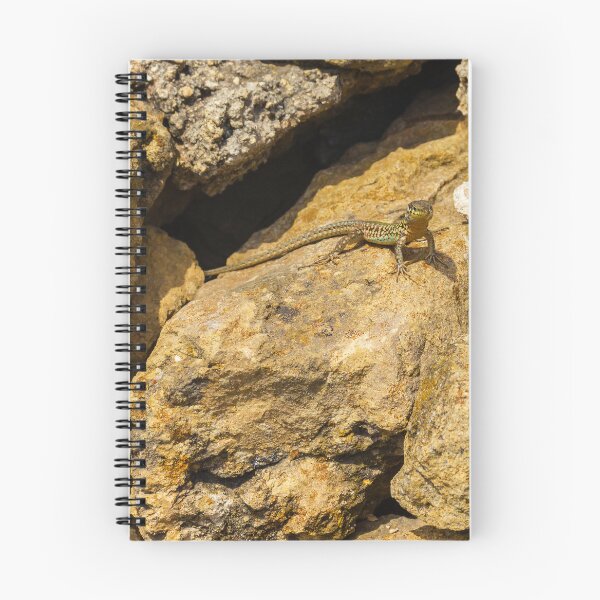 Item preview,  Green Lizard Basking on Sunlit Rocks, Closeup Reptile on Rocky Wall in Natural Habitat designed and sold by Nmallia.