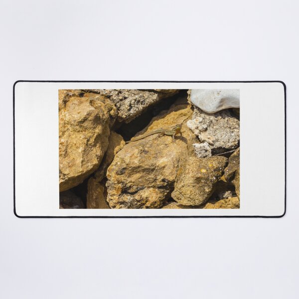 Item preview,  Green Lizard Basking on Sunlit Rocks, Closeup Reptile on Rocky Wall in Natural Habitat designed and sold by Nmallia.