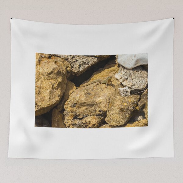 Item preview,  Green Lizard Basking on Sunlit Rocks, Closeup Reptile on Rocky Wall in Natural Habitat designed and sold by Nmallia.