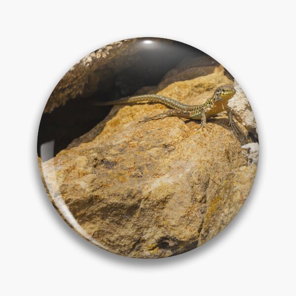 Item preview, Green Lizard Basking on Sunlit Rocks, Closeup Reptile on Rocky Wall in Natural Habitat designed and sold by Nmallia.