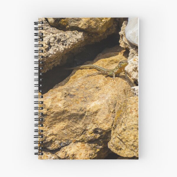 Item preview, Green Lizard Basking on Sunlit Rocks, Closeup Reptile on Rocky Wall in Natural Habitat designed and sold by Nmallia.
