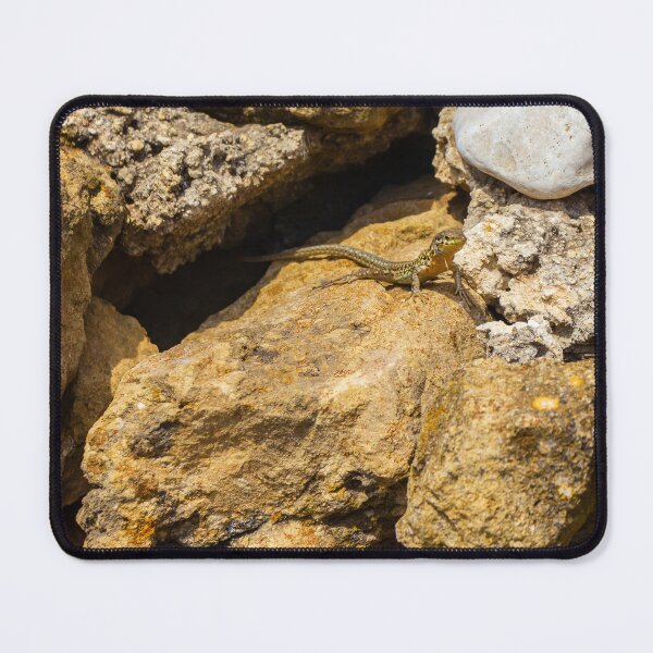 Item preview, Green Lizard Basking on Sunlit Rocks, Closeup Reptile on Rocky Wall in Natural Habitat designed and sold by Nmallia.