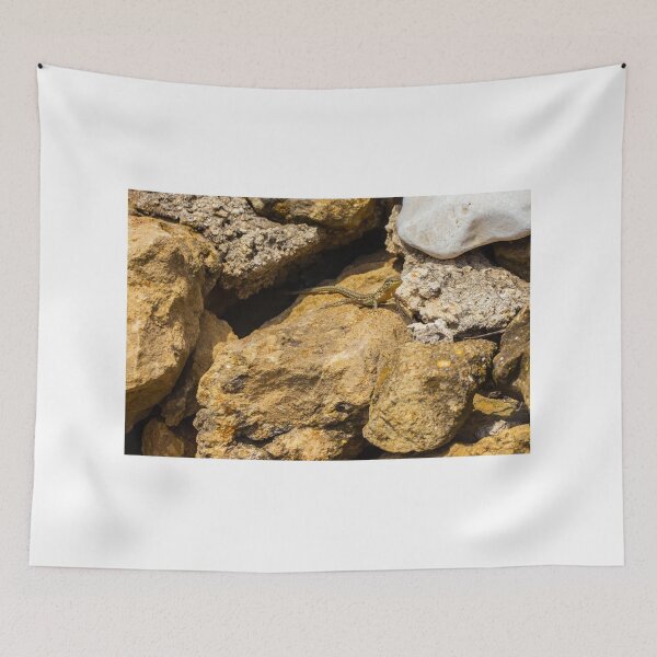 Item preview, Green Lizard Basking on Sunlit Rocks, Closeup Reptile on Rocky Wall in Natural Habitat designed and sold by Nmallia.