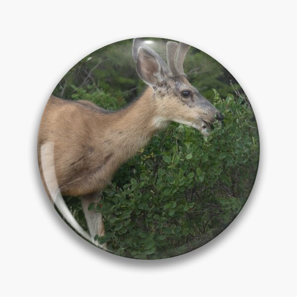 Item preview, Young Buck designed and sold by Picture1Perfect.