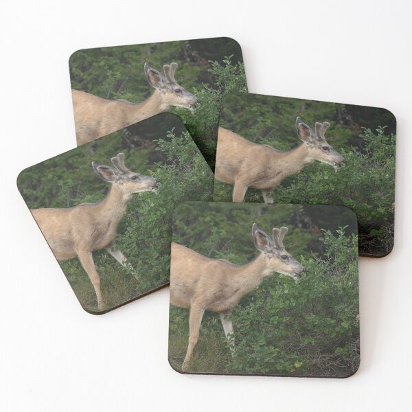 Item preview, Young Buck designed and sold by Picture1Perfect.