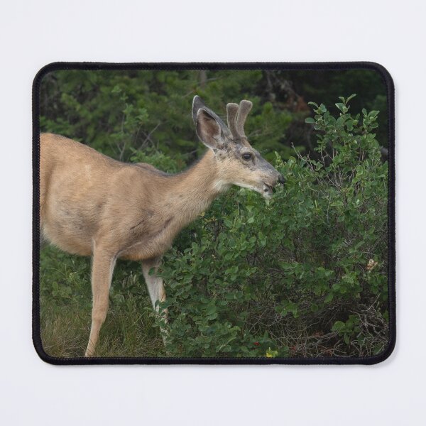 Item preview, Young Buck designed and sold by Picture1Perfect.