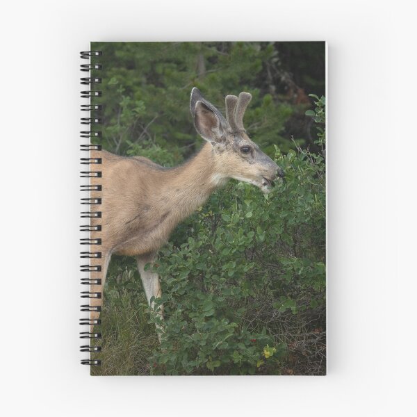 Item preview, Young Buck designed and sold by Picture1Perfect.