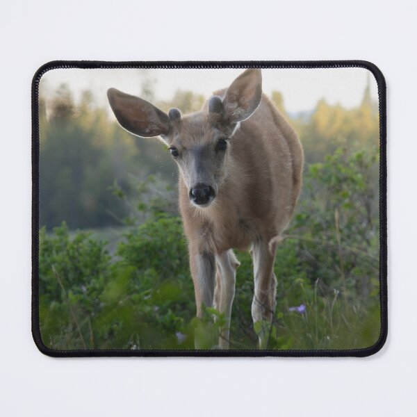 Item preview, Young Deer designed and sold by Picture1Perfect.