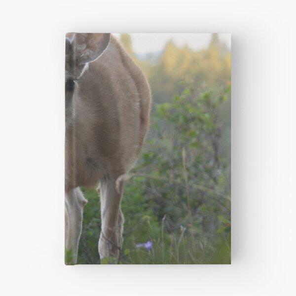 Item preview, Young Deer designed and sold by Picture1Perfect.