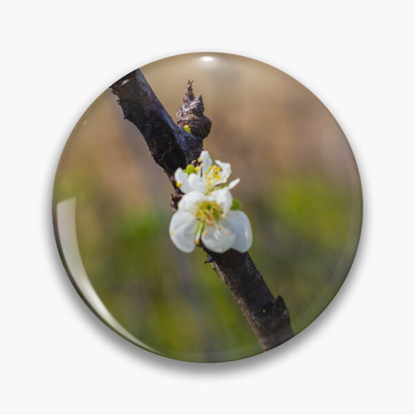 Item preview,  White Blossom on Branch With New Leaves — Spring Closeup Showing Bloom and Growth designed and sold by Nmallia.