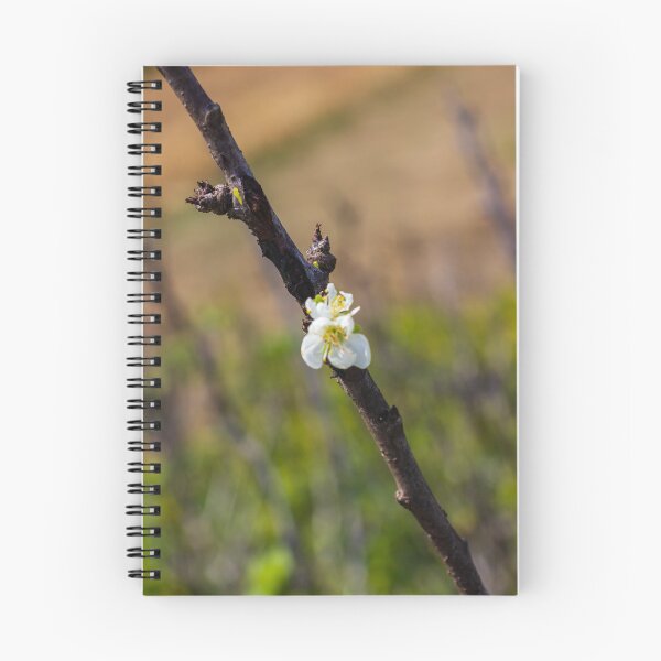 Item preview,  White Blossom on Branch With New Leaves — Spring Closeup Showing Bloom and Growth designed and sold by Nmallia.
