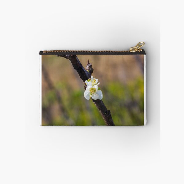 Item preview,  White Blossom on Branch With New Leaves — Spring Closeup Showing Bloom and Growth designed and sold by Nmallia.