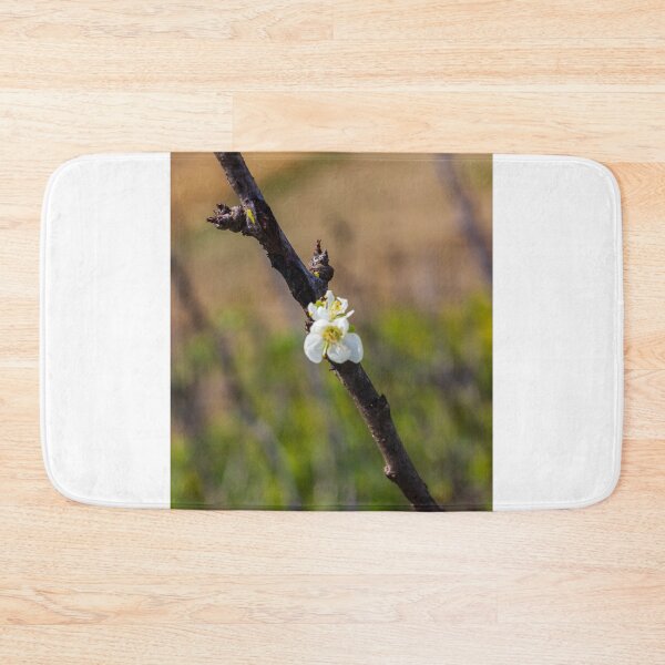 Item preview,  White Blossom on Branch With New Leaves — Spring Closeup Showing Bloom and Growth designed and sold by Nmallia.
