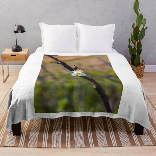 Item preview, White Blossom on Branch With New Leaves — Spring Closeup Showing Bloom and Growth designed and sold by Nmallia.