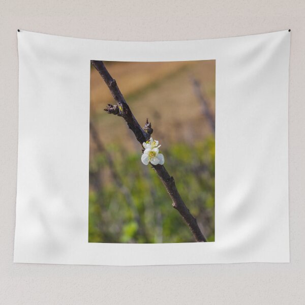 Item preview,  White Blossom on Branch With New Leaves — Spring Closeup Showing Bloom and Growth designed and sold by Nmallia.