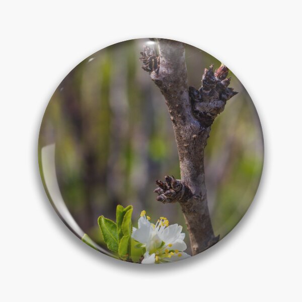 Item preview, White Blossom on Branch With New Leaves — Spring Closeup Showing Bloom and Growth designed and sold by Nmallia.