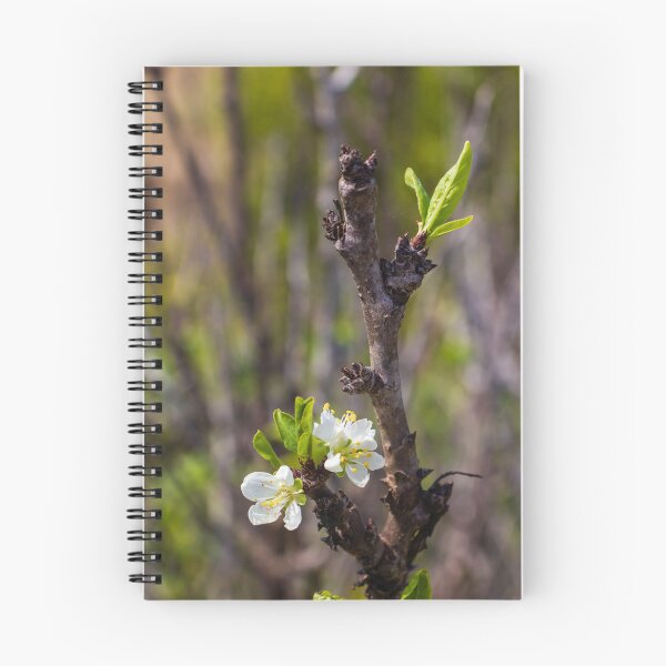 Item preview, White Blossom on Branch With New Leaves — Spring Closeup Showing Bloom and Growth designed and sold by Nmallia.