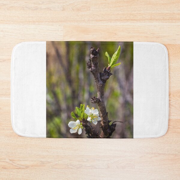 Item preview, White Blossom on Branch With New Leaves — Spring Closeup Showing Bloom and Growth designed and sold by Nmallia.