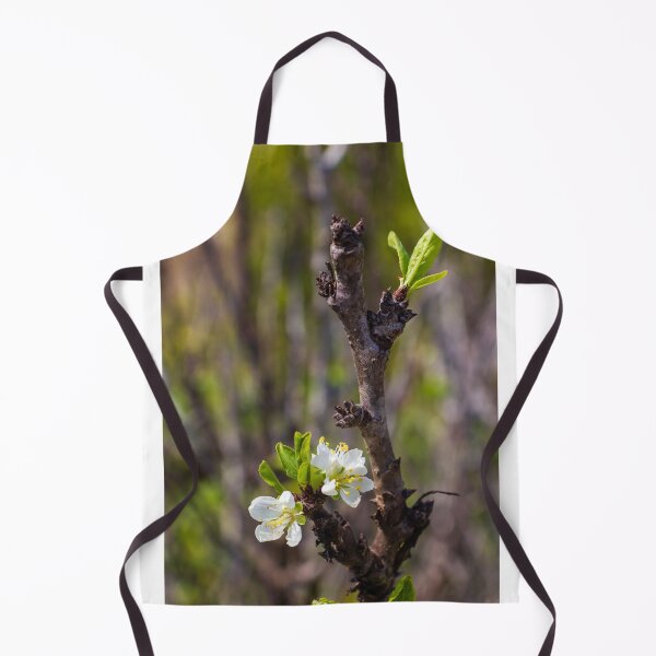 Item preview, White Blossom on Branch With New Leaves — Spring Closeup Showing Bloom and Growth designed and sold by Nmallia.