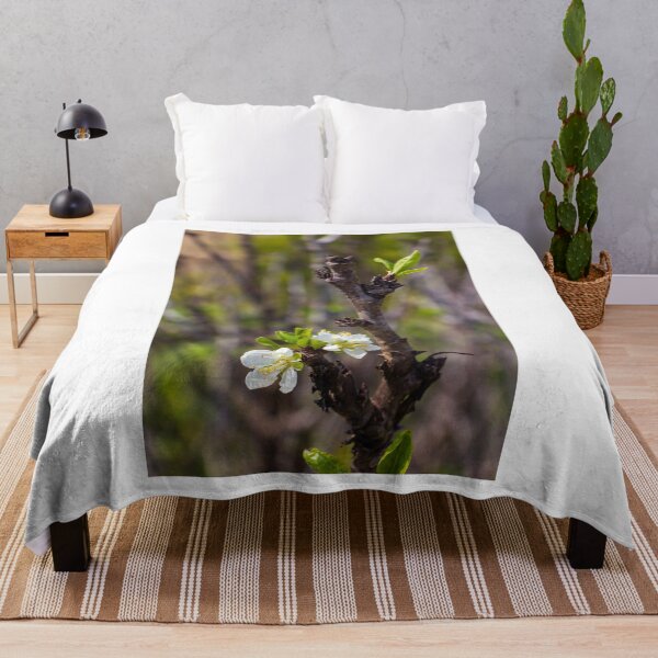Item preview, White Blossom on Branch With New Leaves — Spring Closeup Showing Bloom and Growth designed and sold by Nmallia.