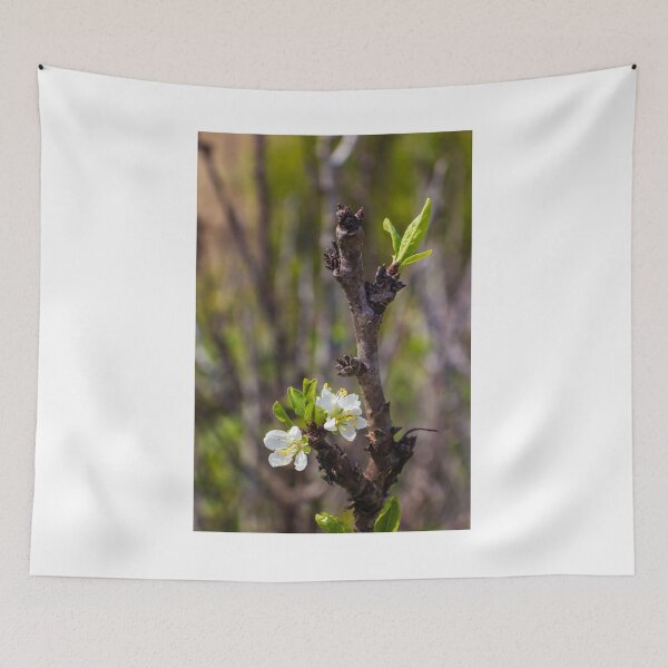 Item preview, White Blossom on Branch With New Leaves — Spring Closeup Showing Bloom and Growth designed and sold by Nmallia.