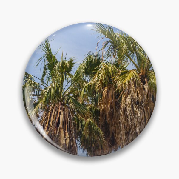 Item preview, Three Palm Trees With Dried Fronds Against A Clear Blue Sky On Sunny Day designed and sold by Nmallia.