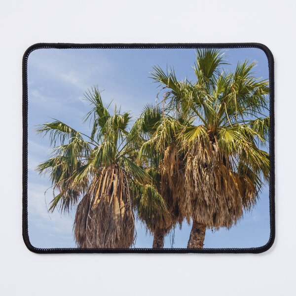 Item preview, Three Palm Trees With Dried Fronds Against A Clear Blue Sky On Sunny Day designed and sold by Nmallia.