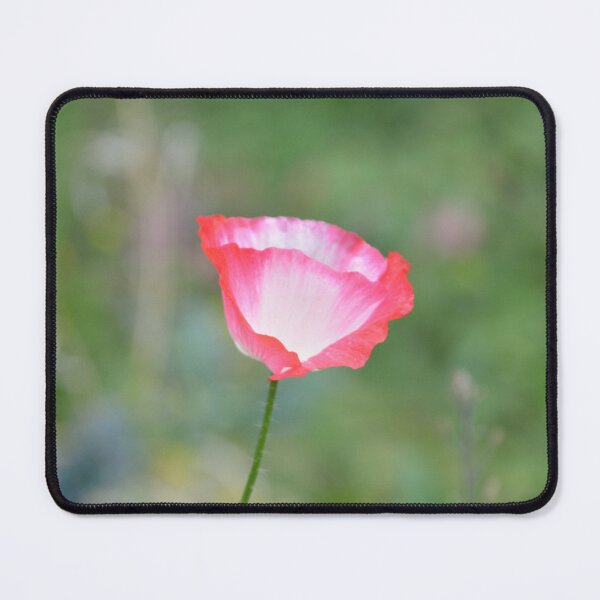 Item preview, Bicolor Pink Poppy and Purple Cosmos designed and sold by MiraNadaPrints.