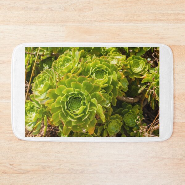 Item preview, Close-Up Green Succulent Rosette Cluster in Garden Landscape With Sunlit Leaves and Natural Texture designed and sold by Nmallia.