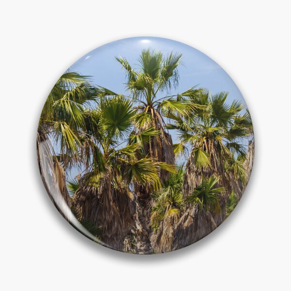 Item preview, Sunlit Palm Grove With Dry Fronds and Rustic Stone Wall in Arid Mediterranean Landscape designed and sold by Nmallia.