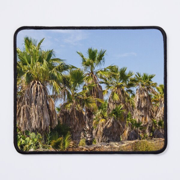 Item preview, Sunlit Palm Grove With Dry Fronds and Rustic Stone Wall in Arid Mediterranean Landscape designed and sold by Nmallia.